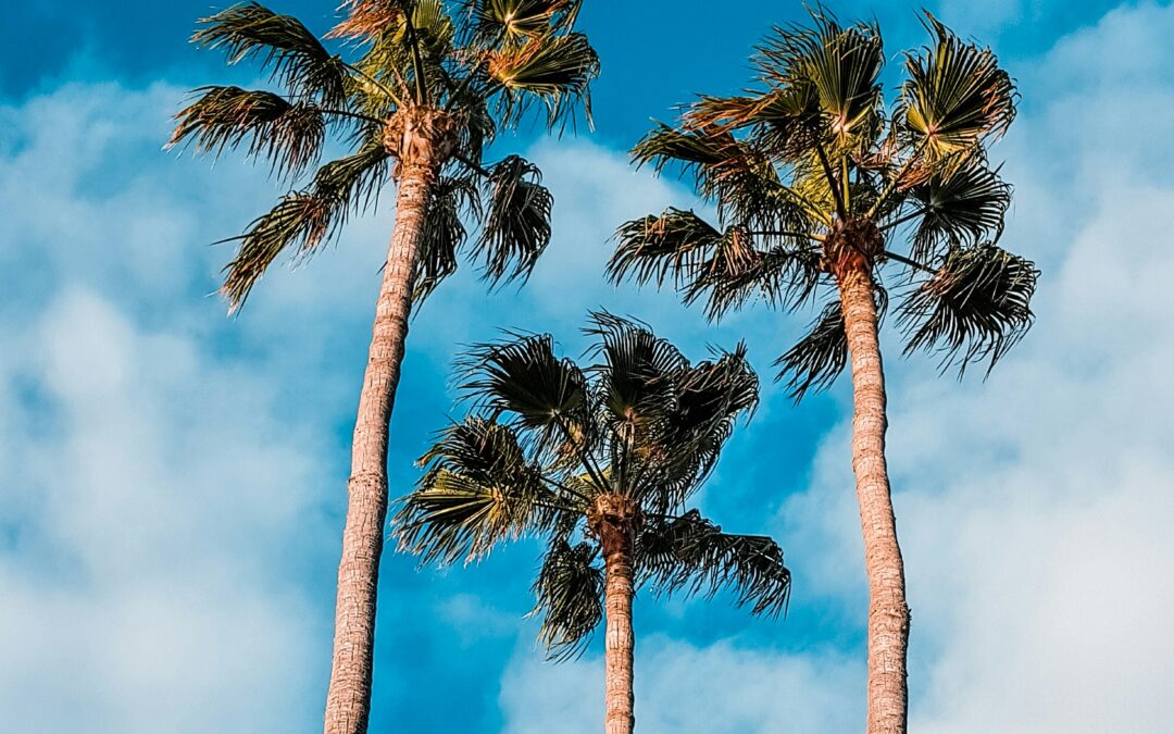 L&rsquo;acquisition des congés payés Droits et durée